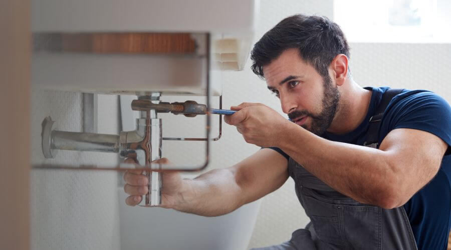 Trap Repair/Replacement in Temperance, MI